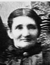Sarah Elizabeth Harrison (1845 - 1905) Profile
